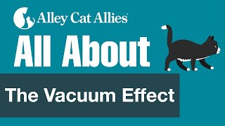 All About The Vacuum Effect [upl. by Vernon]