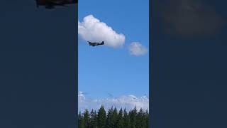 P40 Kittyhawk Pass airshow shorts aviation aircraft [upl. by Aziza]