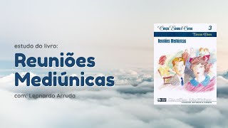 17  Os Espíritos Bons e os Maus O Livro dos Espíritos  Leonardo Arruda [upl. by Yrgoerg]