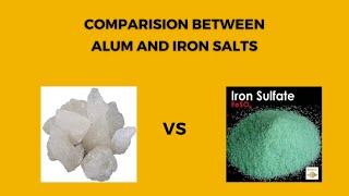 Comparison of Alum and IronSalts as Coagulants WSSE GTU EnvironmentalEnguneering [upl. by Filippa]