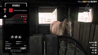 Red Dead Redemption 2  Horses for Courses Trophy PS5 [upl. by Ettenrahc593]