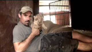 Kevin Richardson a very special Lioness amp her Cubs [upl. by Yung499]