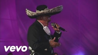 Vicente Fernández  El Rey En Vivo [upl. by Erving]