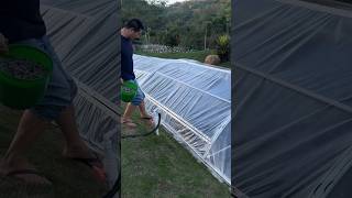 KOLAM IKAN UNIK shorts viralvideos reaction fyp [upl. by Schultz]