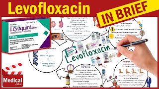 Levofloxacin  Levaquin  What is Levofloxacin Used For Dosage Side Effects amp Precautions [upl. by Ibba]