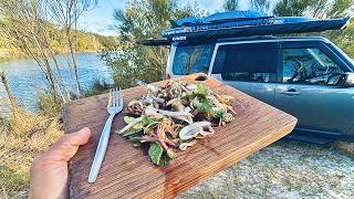 Cuttlefish Salad CATCH amp COOK  Solo Truck Camping [upl. by Cohligan]