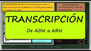 Transcripción del ADN Explicación Diferencias entre Procariotas y Eucariotas [upl. by Chad297]