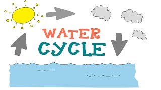 Water Cycle  The 3 phases Explained  Water Cycle Animation for Kids [upl. by Nahama]