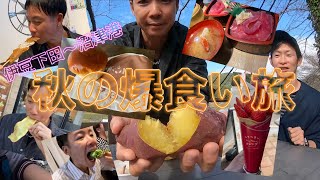 秋の爆食い旅【伊豆下田〜沼津港】 [upl. by Marentic]