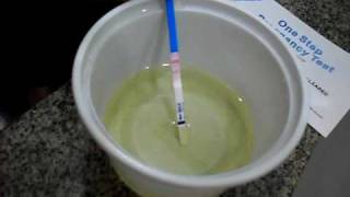 PREGNANCY TEST  PREGNANT TESTE DE GRAVIDEZ POSITIVO [upl. by Auhsohey]