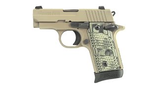 NRA Gun of the Week SIG Sauer P238 Scorpion Pistol [upl. by Tankoos]