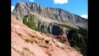 From the sea to the Dolomites the fossils tell their tale [upl. by Mitran881]