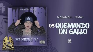 05 Natanael Cano  Quemando Un Gallo Official Audio [upl. by Isabelle]