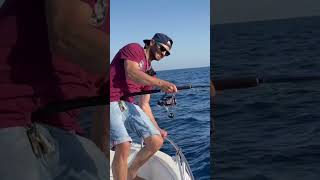 Big catch on fishingboat italcannafishing hunger 65 [upl. by Annissa990]