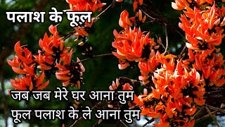 जब जब मेरे घर आना तुम फूल पलाश के ले आना तुम  Palash ke phool by Purnima Dev [upl. by Nhar]