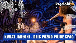 Kwiat Jabłoni  Dziś późno pójdę spać polandrock2019 [upl. by Ybloc550]