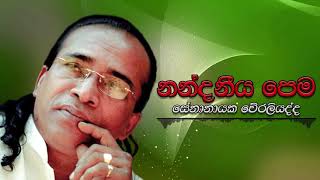 Senanayaka Weraliyadda  Nandaneeya Pema  සේනානායක වේරලියද්ද  නන්දනීය පෙම [upl. by Monteria]