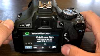 How To Use Self Timer  DSLR Tips [upl. by Yunfei380]