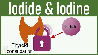 Iodide and Iodine  Mechanism of Action Uses Side Effects  Pharmacology [upl. by Ecnarf]