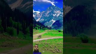 nature travel mountains beautiful kashmirmountains kashmir [upl. by Sumerlin]