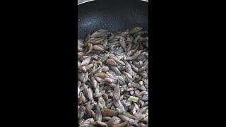 Croaking Gourami fish grilling with turmeric leaf fishrecipe traditionalfishrecipe asianfood [upl. by Loveridge967]