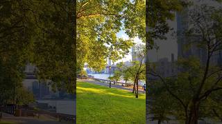 🚠 Roosevelt Island NYC Spring 2024루즈벨트아일랜드 [upl. by Wertz821]