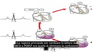 Elettrocardiogramma [upl. by Ianahs435]