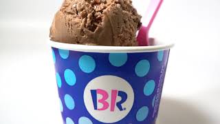 BaskinRobbins NEW NonDairy Ice Cream Flavors [upl. by Yordan]