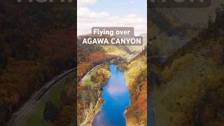 BEST VIEW ON AGAWA CANYONFULL VIDEO ON CHANNELshorts outdoors train travel nature destination [upl. by Maggee]