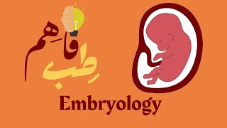 General embryology Spermatogenesis [upl. by Rivers455]