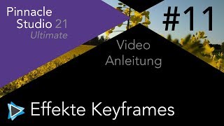 Keyframes und Effekte in Pinnacle Studio 21 Video Tutorial Deutsch 11 [upl. by Divadleahcim]