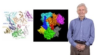 Thomas Pollard Yale University 1 Mechanism of cell motility pt 1 [upl. by Coray]