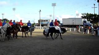 Cavalhada alagoana 2008 [upl. by Pedroza]