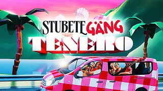 Stubete Gäng  Tenero  Offiziells Musigvideo [upl. by Meerak121]