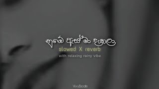 nube as ma dakala  නුඹේ ඇස් මා දැකලාදෑස් slowed X reverb with relaxing rainy vibe [upl. by Ydac]