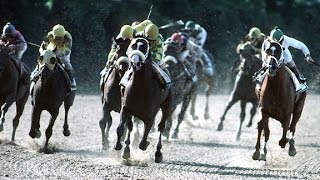 1991 Belmont Stakes  Hansel [upl. by Amling950]