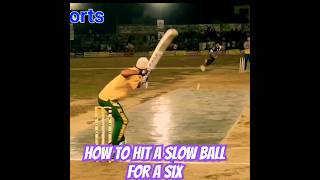 how to hit six  cricket animation shorts youtubeshorts trnding shortsfeed [upl. by Yralam332]