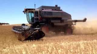 Gleaner N6 8V71 [upl. by Petes]