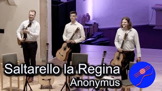 Tritonus Guitar Trio plays quotSaltarelloquot Anonymus  GFN 2023 [upl. by Cristabel487]