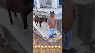 Amazing funny video🤣🤣trending youtubeshortsviralvideo funnyfunnyvideo facebook funny funny [upl. by Natanoj976]