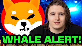 SHIBA INU WHALES BUYING SHIB PRICE PREDICTION [upl. by Ahgiela]