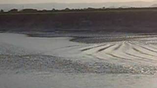 River Parrett Bore [upl. by Manly291]