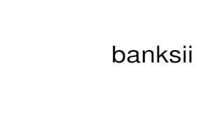 How to pronounce banksii [upl. by Leina]