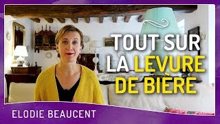 TOUT sur la LEVURE DE BIÈRE [upl. by Ahrendt]