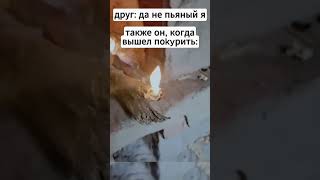 У всех есть такой кент  FurexxDTS  Murdas On Tha Neck  MEME phonk memes [upl. by Timmie]