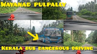 wayanad to pulpally  forest 🛣️  kerala  good road  sree9938 [upl. by Annaor]