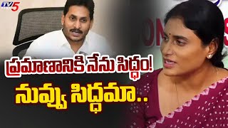 YS Sharmila Says quot Am Ready For Promisequot  YS Jagan  AP News  TV5 News [upl. by Meijer]