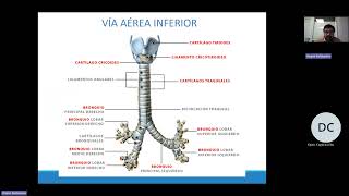 CURSO TEÓRICO PRÁCTICO DE CAPACITACIÓN PARA OPERADORES EN ESPIROMETRÍAS PARTE N°2 [upl. by Byron866]