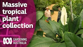 Exploring a massive collection of rare tropical plants  Discovery  Gardening Australia [upl. by Arres]