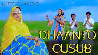 DHAANTA CUSUB  KAFEEYA SARHAYE  QORAXAY KADAYDAYA  2024 OFFICIAL VIDEO [upl. by Llertnov]